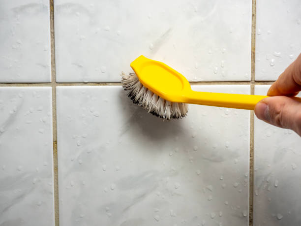 Best Certified Mold Removal  in Greer, SC