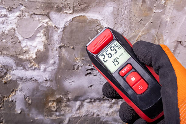 Best Emergency Mold Removal  in Greer, SC