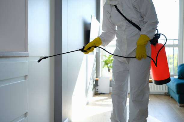 Best Residential Mold Removal  in Greer, SC