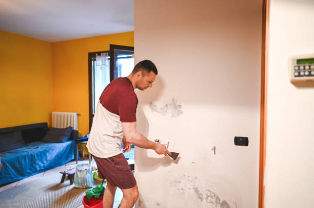 Best Mold Cleaning Services  in Greer, SC