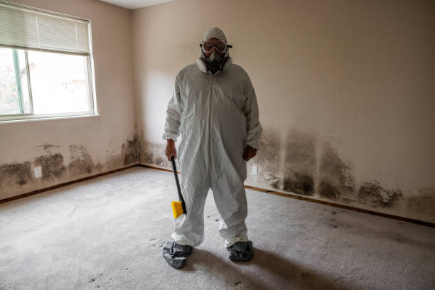 Best Emergency Mold Removal  in Greer, SC